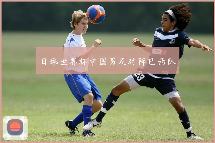 日韩世界杯中国男足对阵巴西队