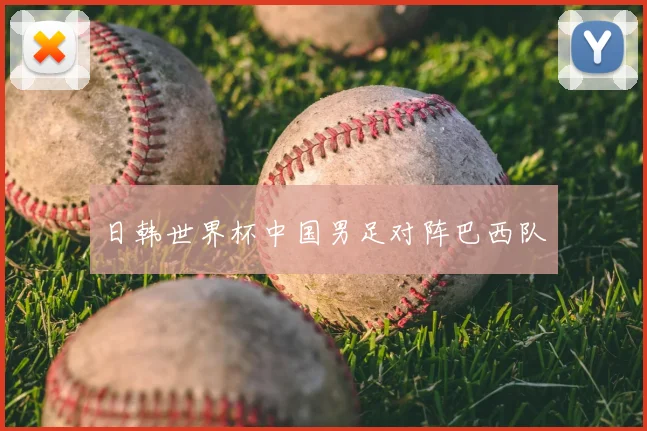 日韩世界杯中国男足对阵巴西队
