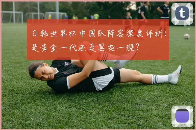 日韩世界杯中国队阵容深度评析：是黄金一代还是昙花一现？