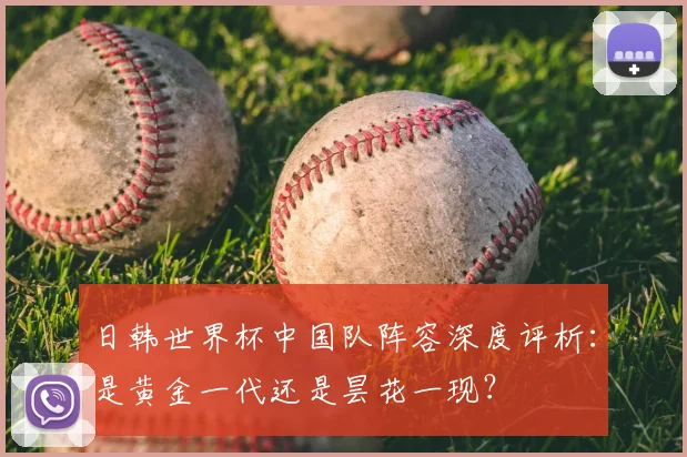 日韩世界杯中国队阵容深度评析：是黄金一代还是昙花一现？
